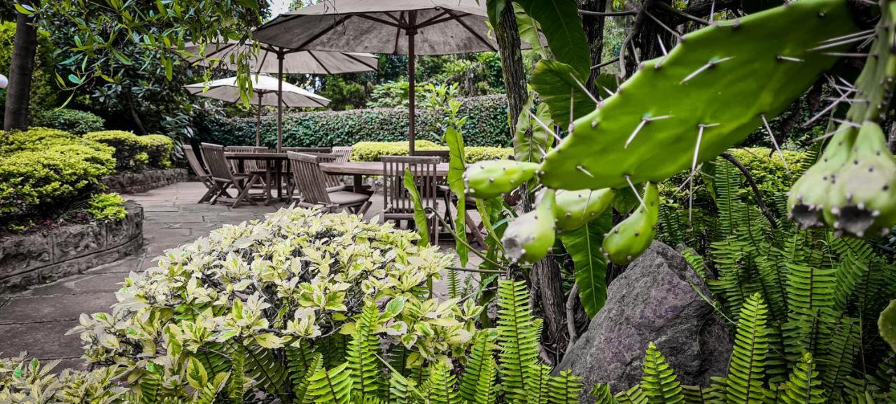 Margarita House Hotell Nairobi Exteriör bild